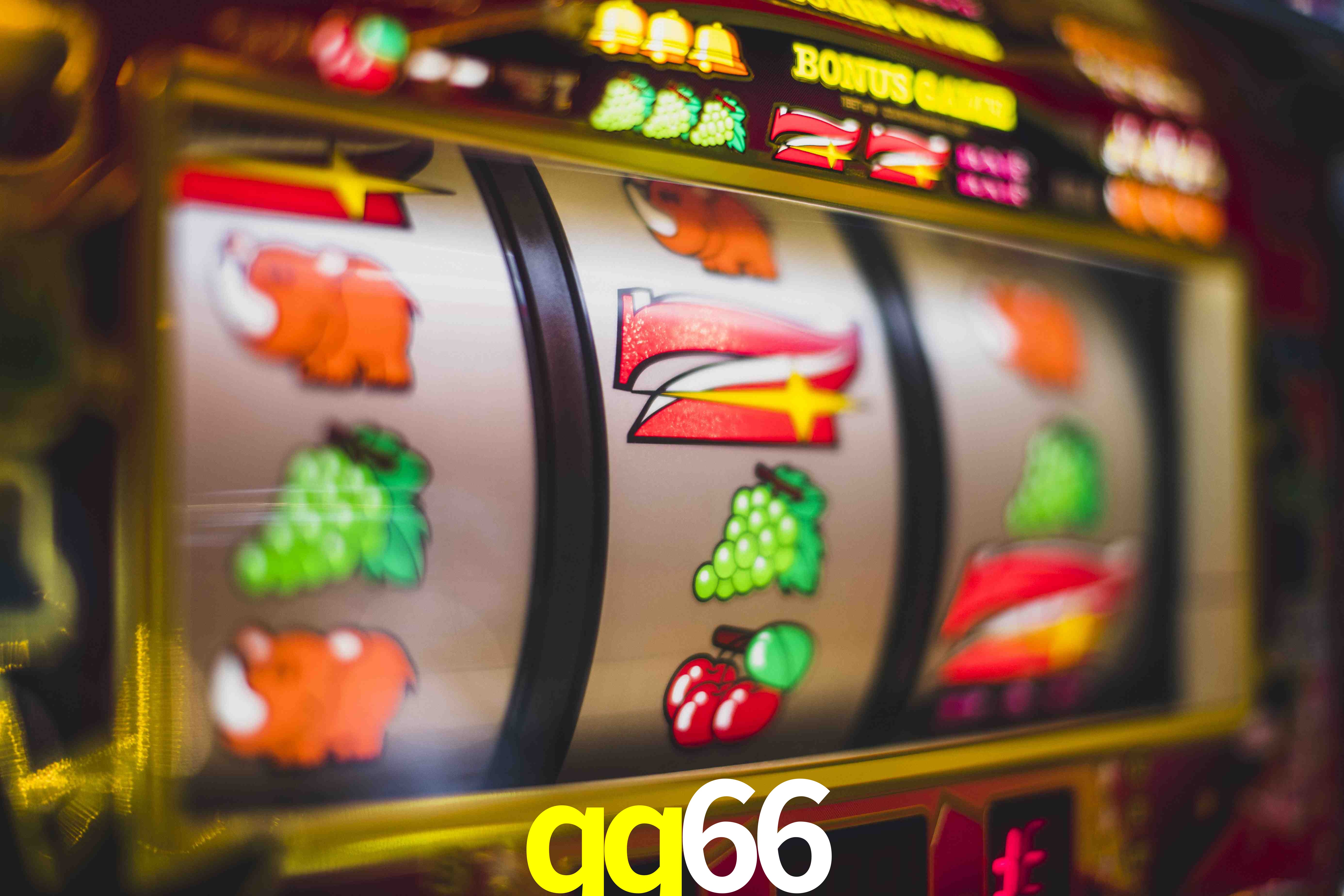 Football Betting qq66
